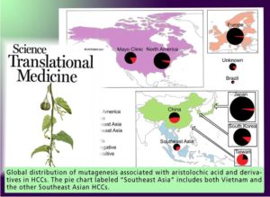 Aristolochic acids and their derivatives are widely implicated in liver cancers in Taiwan and throughout Asia