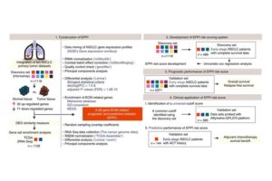 An extracellular matrix-related prognostic and predictive indicator for early-stage non-small cell lung cancer