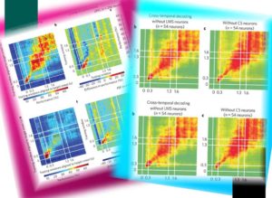 Mixed selectivity morphs population codes in prefrontal cortex