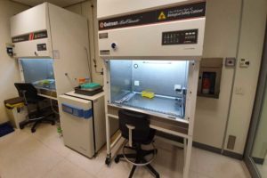 Biological safety cabinets for cell work and an incubator