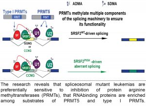 Fong Jia Yi’s paper in Cancer Cell