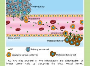 Tee Jie Kai’s paper in Nature Nanotechnology